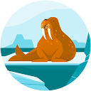 Inés Ferré C. profile picture